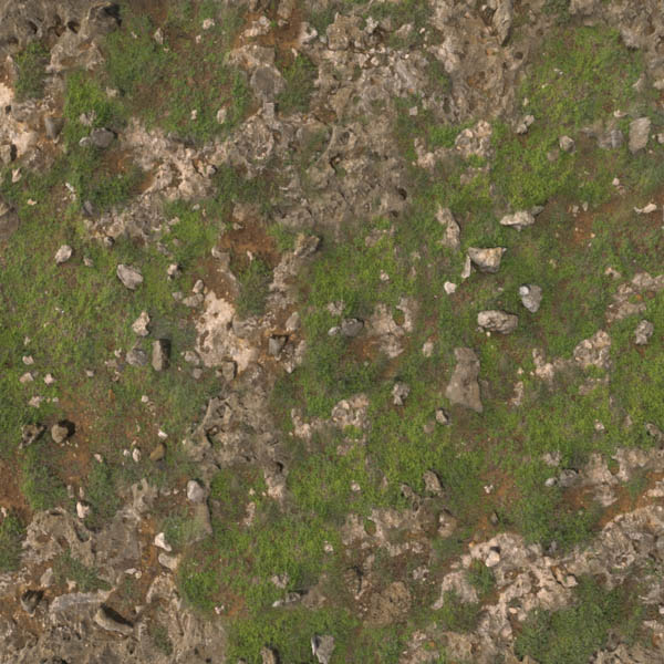 PrintedCarpet01