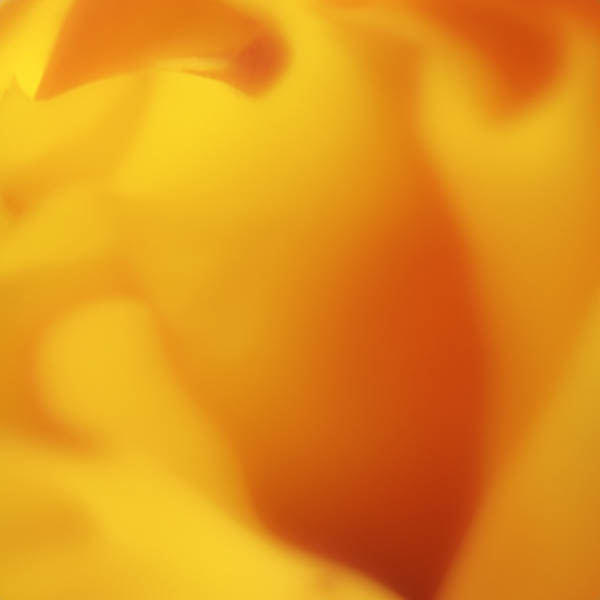 PrintedCarpet01